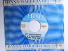 The W.C. Fields Memorial Electric String Band HBR 507 M- ROCK N' ROLL GARAGE 45
