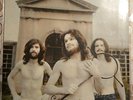 LE ORME – Collage – LP 1971 – Italy Prima Stampa Philips 6323007(L)