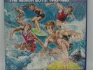 Time - Life the Beach Boys : 1962 - 1967 Vinyl Boxed Set