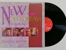 Simple Minds New Gold Dream Rare Alternative Cover Version