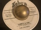 RARE DOO WOP The Cruisers. There's A Girl b/w Foolish Me. Zebra 119 WLP