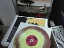 KREATOR limited numbered /333 yellow-brown marbled Vinyl LP Endorama (1999/2007)