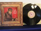 Talking Heads, Naked, Sire Records R 153810, 1988 Alternative Rock, Indie Rock