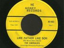 hear RARE BACK FROM THE GRAVE Garage 45 EMERALDS Like Father Like Son NE HONEY
