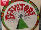 13th Floor Elevators ?You're Gonna Miss Me 10