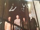 A PERFECT CIRCLE SIGNED JUDITH 7