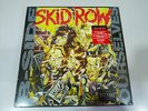 Skid Row B-Sides Ourselves: Vinyl Grey - LP Vinyl 12 