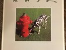 Rush - Signals Vinyl Record LP - NEAR MINT