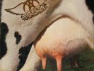 Aerosmith Get A Grip NEAR MINT Geffen Vinyl LP