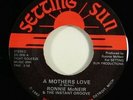 Ronnie McNeir & Instant Groove 