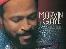 GAYE, Marvin - Collected - Vinyl (2xLP)