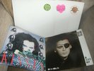 DEAD OR ALIVE PROMO VINYL  DISCS