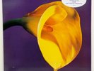 SWANS The Burning World LP   Mint- Original 1989   Promo Stamped