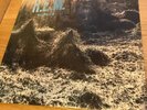 REM - Murmur LP Alternative Indie Rock A1 Press 1983 Original