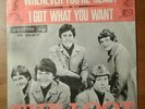 The LOOT - Whenever You're Ready / I Got What You Want FREAKBEAT PALETTE 45 EX