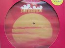 SUNBIRDS sunbirds Picture Disc Ltd. Edition #.0531/100 copies new/neu