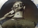 AC/DC - The Razors Edge - Picture-LP / Picture-Vinyl / Pic-LP / Pic-disc