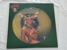 Cher - Take Me Home Picture Disc, Original 1970's