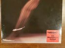 ROLLINS BAND - Weight collectable clear transparent Vinyl LP (1994)