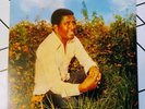 Mahmoud Ahmed Mississippi LP Ethiopia JAZZ GROOVE LP MULATU ASTATKE