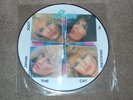 Poison - Look What The Cat Dragged In (12 inch vinyl album picture disc) NEW