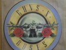 Welcome to the Jungle - Guns N' Roses (GEF 47TP) RARE blue picture disc