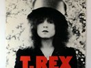 T.Rex - The Slider (UK Vinyl LP Original 1st Pressing) Excellent Vinyl & Sleeve