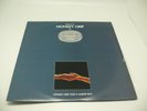 Divinyls Music from Monkey Grip Vinyl Near Mint Album 1982 WEA Records