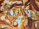 Vinyl Lp Album Cranes Forever Dedicated DEDLP 009