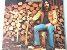 Gene Parsons - Kindling - Vinyl LP UK 1st Press A1/B1 EX+
