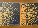 SIGNED Pinegrove Marigold Limited Edition Yellow Vinyl LP