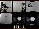 BRUCE SPRINGSTEEN BORN TO RUN  PROMOTIONAL PROMO - VERY RARE *LOT D *