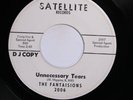 The Fantaisions SATELLITE White Label Promo 2006 VG SOUL NORTHERN SOUL 45