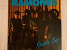 Ramones, Animal Boy, released1986. Excellent condition.