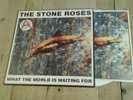 The Stone Roses    What The World Is Waiting For / Fools Gold 9.53  12