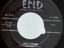 CHANTELS on End (1st Press) - He's Gone/The Plea - R&B/Doowop Girl Group