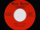 Funk 45 - Flint Executives - Wheel Of Faite - Star Route - VG+ mp3