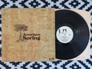 American Spring - s/t ORIG UK United Artists LP  Brian Wilson Beach Boys