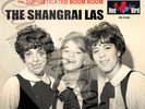 60S R/B POP RED BIRD THE SHANGRI-LAS LONG LIVE OUR LOVE PICTURE SLEEVE