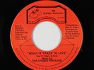 Modern Soul 45 - Chosen Few Band - What It Takes To Live - BR - VG++ mp3