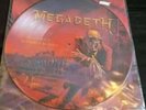 Picture vinyl  Death Metal  90's   Megadeth ,Suffocation,Benediction usw. Rar