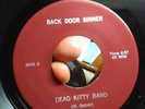 Insanely Rare Punk/Hard Rock 45 Dead Kitty Band Back Door Sinner/No Tears NM