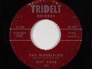 Northern Soul R&B 45 - Ray Agee - The Wobble-Oo - Tridelt - mp3