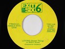 Sweet Soul 45 - Fragile: Handle With Care - Loving (Sweet Thing) - Exit 6 - mp3