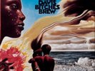 Miles Davis-Bitches Brew Vinyl / 12