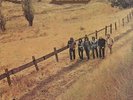Kenny Rogers And The First Edition Backroads NEAR MINT MGM Records Vinyl LP