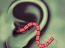 THEE OH SEES-ODD ENTRANCES VINYL LP NUOVO