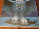 Rush Fly By Night Lp