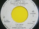 BANDA LOS HIJOS DE LA NIÑA LUZ 