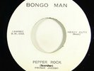 Prince Jazzbo/Freddie McGregor 